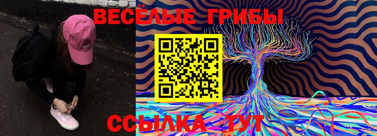 Бугуруслан  Псилоцибиновые грибы MAGIC MUSHROOMS  Вход с VPN 